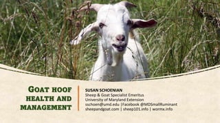 GOAT HOOF
HEALTH AND
MANAGEMENT
SUSAN SCHOENIAN
Sheep & Goat Specialist Emeritus
University of Maryland Extension
sschoen@umd.edu |Facebook @MDSmallRuminant
sheepandgoat.com | sheep101.info | wormx.info
 