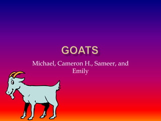 Goats Michael, Cameron H., Sameer, and Emily  