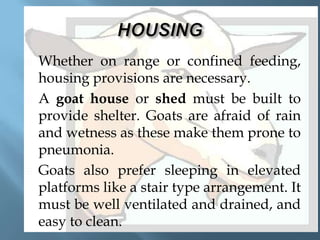 





Whether on range or confined feeding,
housing provisions are necessary.
A goat house or shed must be built to
provide shelter. Goats are afraid of rain
and wetness as these make them prone to
pneumonia.
Goats also prefer sleeping in elevated
platforms like a stair type arrangement. It
must be well ventilated and drained, and
easy to clean.

 