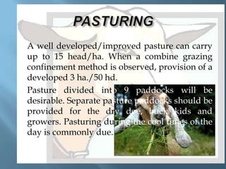 



A well developed/improved pasture can carry
up to 15 head/ha. When a combine grazing
confinement method is observed, provision of a
developed 3 ha./50 hd.
Pasture divided into 9 paddocks will be
desirable. Separate pasture paddocks should be
provided for the dry doe, buck kids and
growers. Pasturing during the cool times of the
day is commonly due.

 