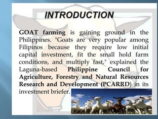 

GOAT farming is gaining ground in the
Philippines. "Goats are very popular among
Filipinos because they require low initial
capital investment, fit the small hold farm
conditions, and multiply fast," explained the
Laguna-based
Philippine
Council
for
Agriculture, Forestry and Natural Resources
Research and Development (PCARRD) in its
investment briefer.

 