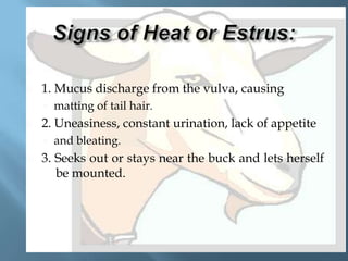 


1. Mucus discharge from the vulva, causing




2. Uneasiness, constant urination, lack of appetite




matting of tail hair.
and bleating.

3. Seeks out or stays near the buck and lets herself
be mounted.

 