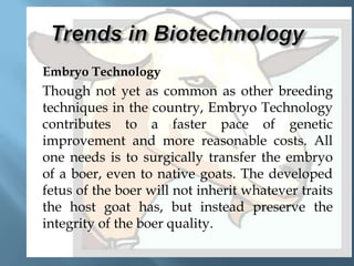 



Embryo Technology

Though not yet as common as other breeding
techniques in the country, Embryo Technology
contributes to a faster pace of genetic
improvement and more reasonable costs. All
one needs is to surgically transfer the embryo
of a boer, even to native goats. The developed
fetus of the boer will not inherit whatever traits
the host goat has, but instead preserve the
integrity of the boer quality.

 