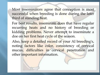 





Most inseminators agree that conception is most
successful when breeding is done during the later
third of standing heat.
For best results, inseminate does that have regular
recurring heats and no history of breeding or
kidding problems. Never attempt to inseminate a
doe on her first heat cycle of the season.
Also, keep a detailed record of your AI breeding's,
noting factors like color, consistency of cervical
mucus, difficulties in cervical penetration and
other important information.

 