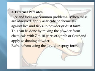 



3. External Parasites
Lice and ticks are common problems. When these
are observed, apply acaricide or chemicals
against lice and ticks, in powder or dust form.
This can be done by mixing the powder-form
chemicals with 7 to 10 parts of starch or flour and
apply as dusting powder.
Refrain from using the liquid or spray form.

 