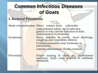 1. Bacterial Pneumonia
Mode of transmission: Direct contact from infectedor
contaminated udder, navel infection,
genital or intra uterine infection of dam,
contaminated environment
Symptoms:
Fever, inability to suckle, nasal discharge,
coughing and respiratory distress
Gradual emaciation may terminate as
pneumoniaenteritis combination. Death common.
Prevention:

Proper nursing in clean, dry environment
necessary. Early cases respond to antibiotic
treatment.

 