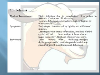 10. Tetanus
Mode of Transmission:

Symptoms:

Prevention:

Direct infection due to introduction of organism in
wounds. Castration, old ulcerating
wounds, dehorning complications. Not contagious to
other animals
Early stages characterized by rigidity and stiffness of
muscles,
Late stages: with tetanic convulsions, prolapse of third
eyelid, stiff tail,
head and neck thrown back;
hyper excitability .Bloat and other nervous signs.
Treat
wound with
oxidizing antiseptic
(hydrogen peroxide ) until completely healed; use
clean instrument in castration and dehorning

 