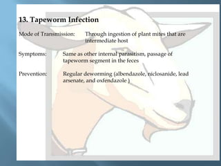 13. Tapeworm Infection
Mode of Transmission:

Through ingestion of plant mites that are
intermediate host

Symptoms:

Same as other internal parasitism, passage of
tapeworm segment in the feces

Prevention:

Regular deworming (albendazole, niclosanide, lead
arsenate, and oxfendazole )

 