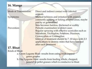 16. Mange
Mode of Transmission:
Symptoms:

Prevention:

Direct and indirect contact with infected
animals
Marked itchiness and irritation with animals
constantly rubbing or licking affected areas, maybe
patchy or generalized
Skin becomes hairless, thickened or scabby
Periodic examination to detect cases
Regular spraying with effective acaricides such as
Malathion, Trichlorfon, Fenthion, Diazinon,
Crotoxyphos or Coumaphos
Interval of treatment should be 7 -10 days with 2-3
applications to destroy mites that have hatched
after each treatment

17. Bloat
Kinds of Bloat:
a. Green Legume Bloat -results from eating fresh copped
green grasses
b. Hay Legume bloat -results from feeding whole, chopped,
ground or pellet grasses which is conducive to bloat

 