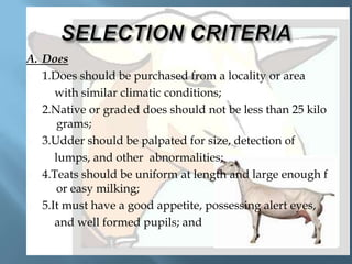 A. Does
 1.Does should be purchased from a locality or area
 with similar climatic conditions;
 2.Native or graded does should not be less than 25 kilo
grams;
 3.Udder should be palpated for size, detection of
 lumps, and other abnormalities;
 4.Teats should be uniform at length and large enough f
or easy milking;
 5.It must have a good appetite, possessing alert eyes,
 and well formed pupils; and

 
