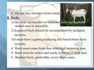 6. Do not buy breeders from markets;
B. Bucks
 1.One year old breeder or buck that have successfully
mated once is desirable;
 2.Acquired buck should be accompanied by pedigree
 records;
 3.It must have a good producing line based from farm
 records;
 4. Buck must come from doe with high twinning rate;
 5. Buck must be active and ready to breed in-heat doe;
 6. Replace buck, preferably, every three years


 