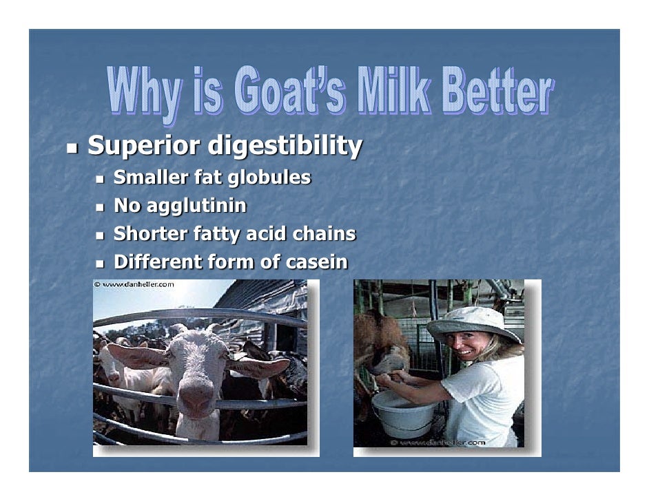 Why do people with lactose intolerance drink goat milk?