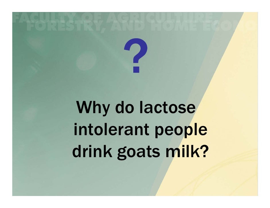 Why do people with lactose intolerance drink goat milk?