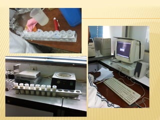 Goat milk safety and consumption in Abergelle, Ethiopia