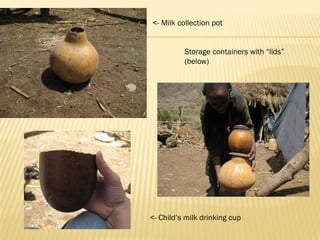 Goat milk safety and consumption in Abergelle, Ethiopia