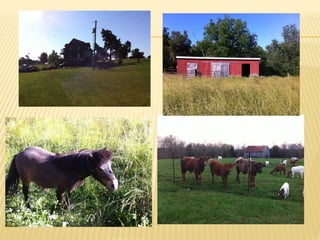 Goat milk safety and consumption in Abergelle, Ethiopia