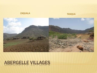 Goat milk safety and consumption in Abergelle, Ethiopia