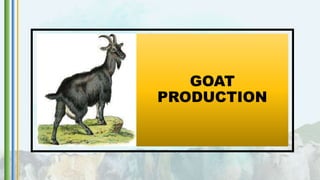 GOAT
PRODUCTION
 