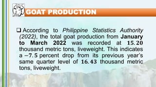 GOAT PRODUCTION
 According to Philippine Statistics Authority
(2022), the total goat production from January
to March 2022 was recorded at 𝟏𝟓. 𝟐𝟎
thousand metric tons, liveweight. This indicates
a −𝟕. 𝟓 percent drop from its previous year’s
same quarter level of 𝟏𝟔. 𝟒𝟑 thousand metric
tons, liveweight.
 