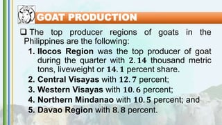GOAT PRODUCTION
 The top producer regions of goats in the
Philippines are the following:
1. Ilocos Region was the top producer of goat
during the quarter with 𝟐. 𝟏𝟒 thousand metric
tons, liveweight or 𝟏𝟒. 𝟏 percent share.
2. Central Visayas with 𝟏𝟐. 𝟕 percent;
3. Western Visayas with 𝟏𝟎. 𝟔 percent;
4. Northern Mindanao with 𝟏𝟎. 𝟓 percent; and
5. Davao Region with 𝟖. 𝟖 percent.
 