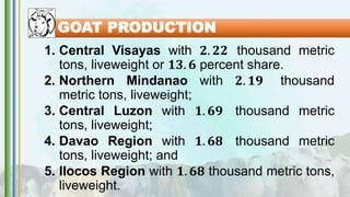 GOAT PRODUCTION
1. Central Visayas with 𝟐. 𝟐𝟐 thousand metric
tons, liveweight or 𝟏𝟑. 𝟔 percent share.
2. Northern Mindanao with 𝟐. 𝟏𝟗 thousand
metric tons, liveweight;
3. Central Luzon with 𝟏. 𝟔𝟗 thousand metric
tons, liveweight;
4. Davao Region with 𝟏. 𝟔𝟖 thousand metric
tons, liveweight; and
5. Ilocos Region with 𝟏. 𝟔𝟖 thousand metric tons,
liveweight.
 
