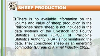 SHEEP PRODUCTION
 There is no available information on the
volume and value of sheep production in the
Philippines since sheep is not included in the
data systems of the Livestock and Poultry
Statistics Division (LPSD) of Philippine
Statistics Authority (PSA) is not monitoring the
data. They considered sheep as an emerging
commodity (Bureau of Animal Industry, 2022).
 