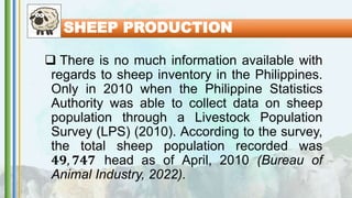 SHEEP PRODUCTION
 There is no much information available with
regards to sheep inventory in the Philippines.
Only in 2010 when the Philippine Statistics
Authority was able to collect data on sheep
population through a Livestock Population
Survey (LPS) (2010). According to the survey,
the total sheep population recorded was
𝟒𝟗, 𝟕𝟒𝟕 head as of April, 2010 (Bureau of
Animal Industry, 2022).
 