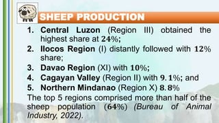 SHEEP PRODUCTION
1. Central Luzon (Region III) obtained the
highest share at 𝟐𝟒%;
2. Ilocos Region (I) distantly followed with 𝟏𝟐%
share;
3. Davao Region (XI) with 𝟏𝟎%;
4. Cagayan Valley (Region II) with 𝟗. 𝟏%; and
5. Northern Mindanao (Region X) 𝟖. 𝟖%
The top 5 regions comprised more than half of the
sheep population (𝟔𝟒%) (Bureau of Animal
Industry, 2022).
 