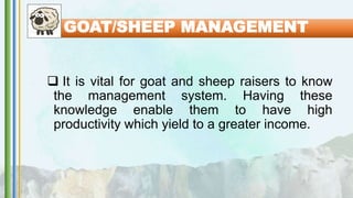  It is vital for goat and sheep raisers to know
the management system. Having these
knowledge enable them to have high
productivity which yield to a greater income.
GOAT/SHEEP MANAGEMENT
 
