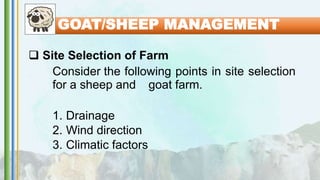  Site Selection of Farm
Consider the following points in site selection
for a sheep and goat farm.
1. Drainage
2. Wind direction
3. Climatic factors
GOAT/SHEEP MANAGEMENT
 
