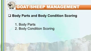  Body Parts and Body Condition Scoring
1. Body Parts
2. Body Condition Scoring
GOAT/SHEEP MANAGEMENT
 