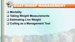  Mortality
 Taking Weight Measurements
 Estimating Live Weight
 Culling as a Management Tool
GOAT/SHEEP MANAGEMENT
 