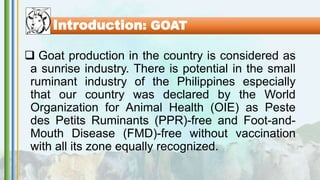 Introduction: GOAT
 Goat production in the country is considered as
a sunrise industry. There is potential in the small
ruminant industry of the Philippines especially
that our country was declared by the World
Organization for Animal Health (OIE) as Peste
des Petits Ruminants (PPR)-free and Foot-and-
Mouth Disease (FMD)-free without vaccination
with all its zone equally recognized.
 