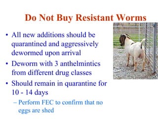 Do Not Buy Resistant Worms
• All new additions should be
quarantined and aggressively
dewormed upon arrival
• Deworm with 3 anthelmintics
from different drug classes
• Should remain in quarantine for
10 - 14 days
– Perform FEC to confirm that no
eggs are shed
 