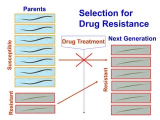 Parents
Selection for
Drug Resistance
Resistant
Next Generation
Resistant
Drug Treatment
 