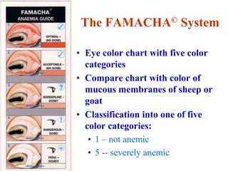 The FAMACHA© System
• Eye color chart with five color
categories
• Compare chart with color of
mucous membranes of sheep or
goat
• Classification into one of five
color categories:
• 1 – not anemic
• 5 -- severely anemic
 