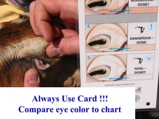 Always Use Card !!!
Compare eye color to chart
 