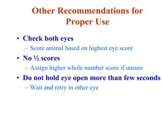 Other Recommendations for
Proper Use
• Check both eyes
– Score animal based on highest eye score
• No ½ scores
– Assign higher whole number score if unsure
• Do not hold eye open more than few seconds
– Wait and retry in other eye
 