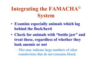 Integrating the FAMACHA©
System
• Examine especially animals which lag
behind the flock/herd
• Check for animals with “bottle jaw” and
treat these, regardless of whether they
look anemic or not
– This may indicate large numbers of other
roundworms that do not consume blood.
 