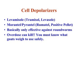 Cell Depolarizers
• Levamisole (Tramisol, Levasole)
• Morantel/Pyrantel (Rumatel, Positive Pellet)
• Basically only effective against roundworms
• Overdose can kill!! You must know what
goats weigh to use safely.
 