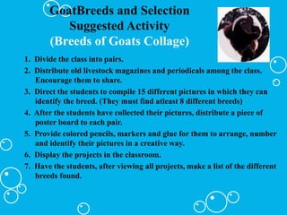 GOAT_And thier uses and characteristics .ppt