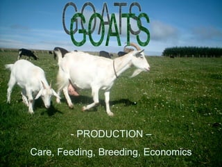 GOATS - PRODUCTION –  Care, Feeding, Breeding, Economics 