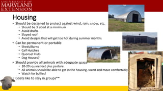 Housing
• Should be designed to protect against wind, rain, snow, etc.
• Should be 3 sided at a minimum
• Avoid drafts
• Sloped roof
• Avoid designs that will get too hot during summer months
• Can be permanent or portable
• Sheds/Barns
• Calf Hutches
• Quonset Huts
• Dog Houses?
• Should provide all animals with adequate space
• 10-20 square feet plus pasture
• All animals should be able to get in the housing, stand and move comfortably
• Watch for bullies!
• Goats like to stay in groups**
 