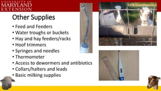 Other Supplies
• Feed and Feeders
• Water troughs or buckets
• Hay and hay feeders/racks
• Hoof trimmers
• Syringes and needles
• Thermometer
• Access to dewormers and antibiotics
• Collars/halters and leads
• Basic milking supplies
 