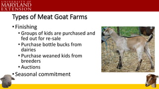 Types of Meat Goat Farms
•Finishing
• Groups of kids are purchased and
fed out for re-sale
• Purchase bottle bucks from
dairies
• Purchase weaned kids from
breeders
• Auctions
•Seasonal commitment
 