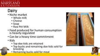 Dairy
• Niche market
• Whole milk
• Cheese
• Soap
• Raw Pet Milk
• Food produced for human consumption
is heavily regulated
• Can be a heavy time commitment
• Kids
• Top doe kids are retained
• Top bucks and remaining doe kids sold for
breeding
• Remaining bucks sold for meat
 