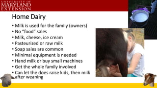 Home Dairy
• Milk is used for the family (owners)
• No “food” sales
• Milk, cheese, ice cream
• Pasteurized or raw milk
• Soap sales are common
• Minimal equipment is needed
• Hand milk or buy small machines
• Get the whole family involved
• Can let the does raise kids, then milk
after weaning
 