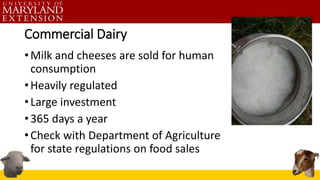 Commercial Dairy
•Milk and cheeses are sold for human
consumption
•Heavily regulated
•Large investment
•365 days a year
•Check with Department of Agriculture
for state regulations on food sales
 
