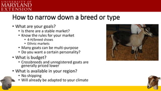 How to narrow down a breed or type
• What are your goals?
• Is there are a stable market?
• Know the rules for your market
• 4-H/breed shows
• Ethnic markets
• Many goats can be multi-purpose
• Do you want a certain personality?
• What is budget?
• Crossbreeds and unregistered goats are
generally priced lower
• What is available in your region?
• No shipping
• Will already be adapted to your climate
 