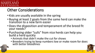 Other Considerations
• Kids are usually available in the spring
• Buying at least 2 goats from the same herd can make the
transition to a new farm easier
• Does the disposition and temperament of the breed fit
your needs?
• Purchasing older “culls” from nice herds can help you
build a herd quickly
• Animals that didn’t make the cut for shows
• Breeders trying to keep numbers low or make room for does
with better bloodlines
 